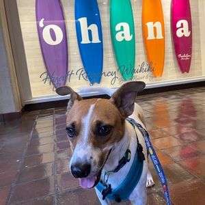 Meet your Posher, Crystal